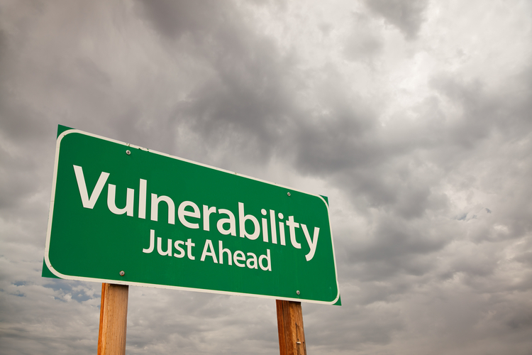 Log4 J vulnerability Website