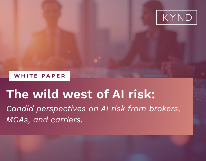 The Wild West of AI Risk KYND